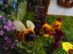 Центр соціальної реабілітації дітей-інвалідів