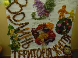 Спілка ГО Волинь-територія життя